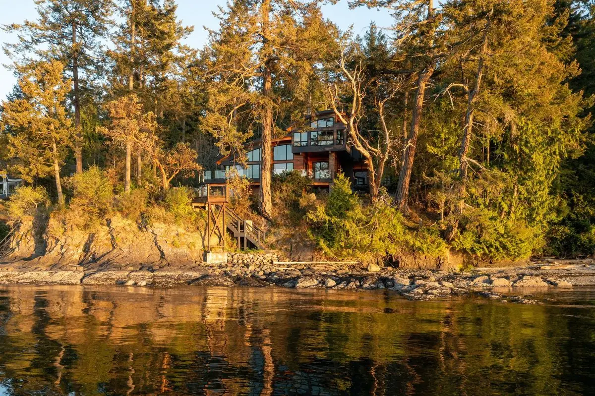 Evening light on an arbutus shoreline