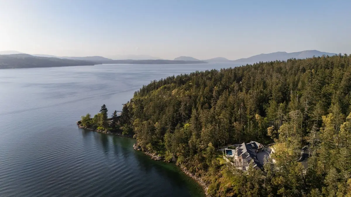 Aerial over the water and the wooded shore