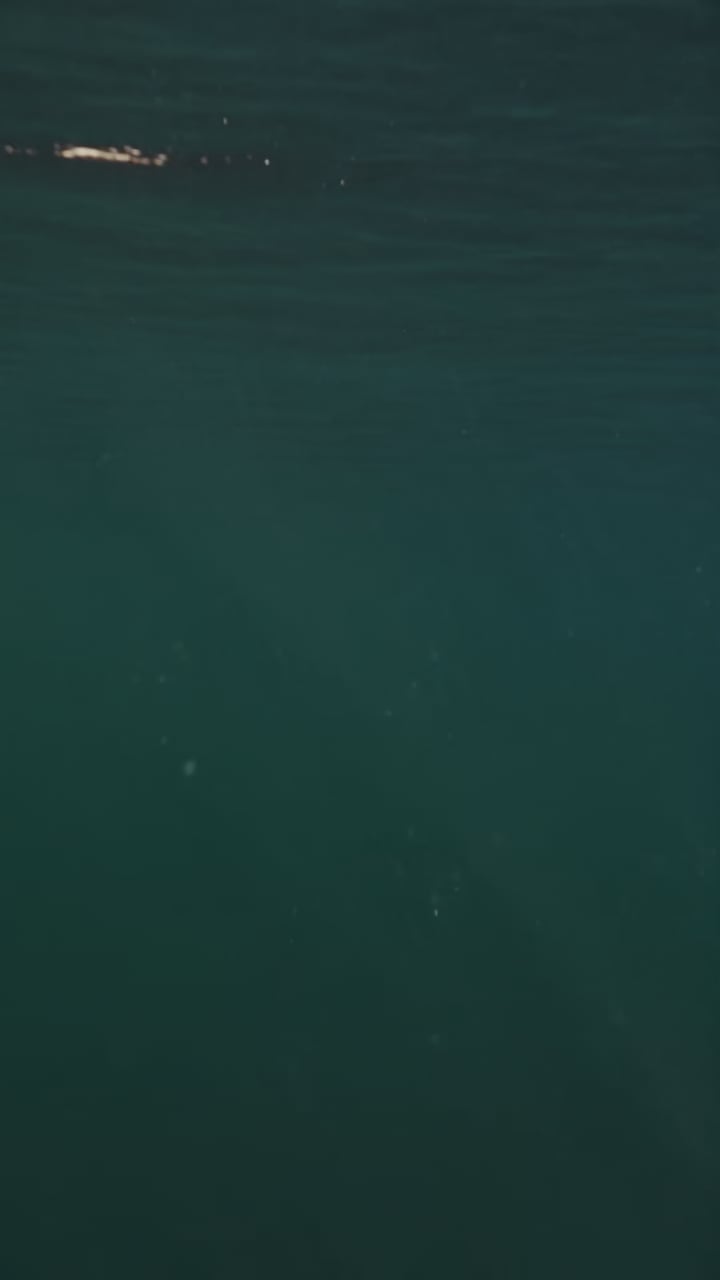 A still from the Mt. Baker View vertical reel, open water.